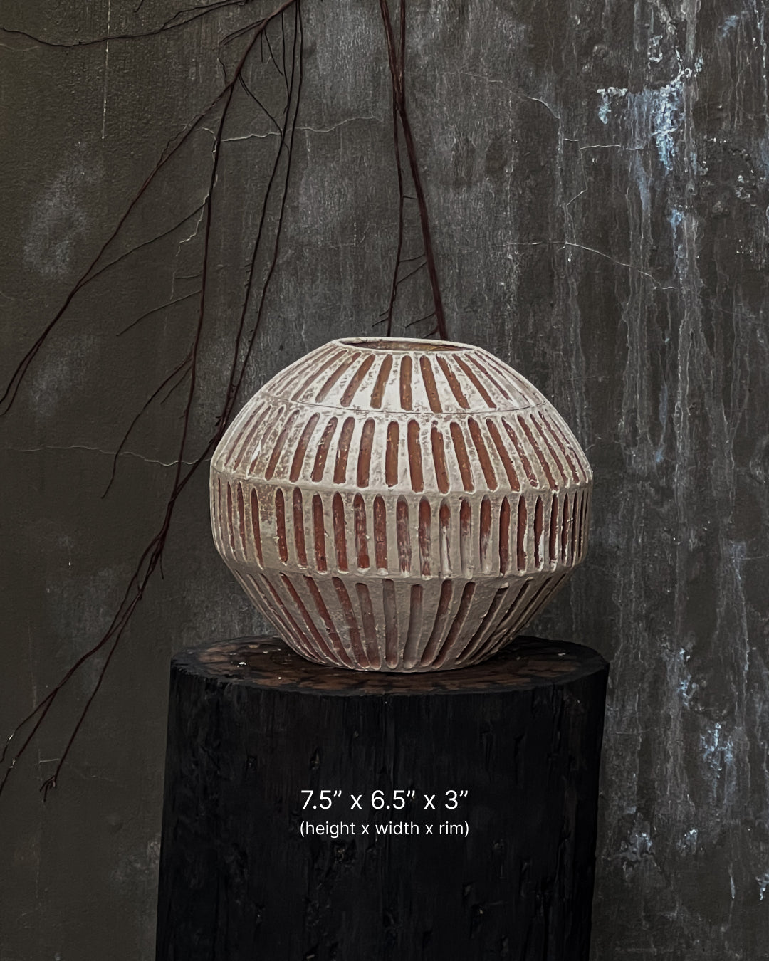 VESSELA -  Sol